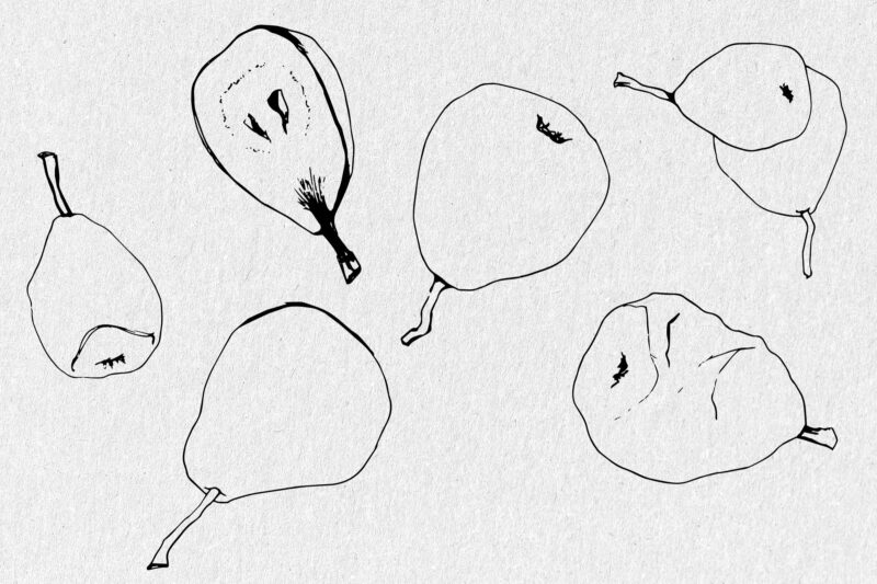 Artistic Simple Pear Illustrations - Image 2