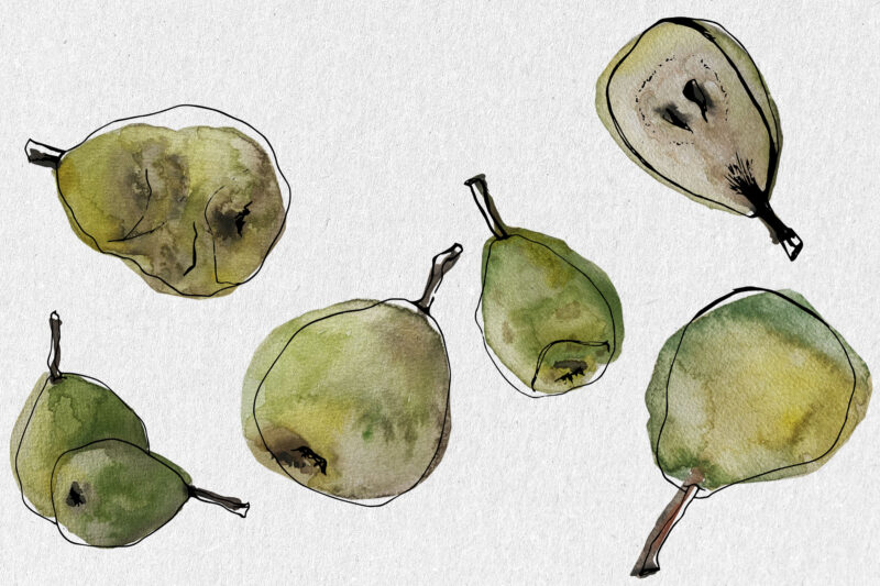 Artistic Simple Pear Illustrations - Image 4