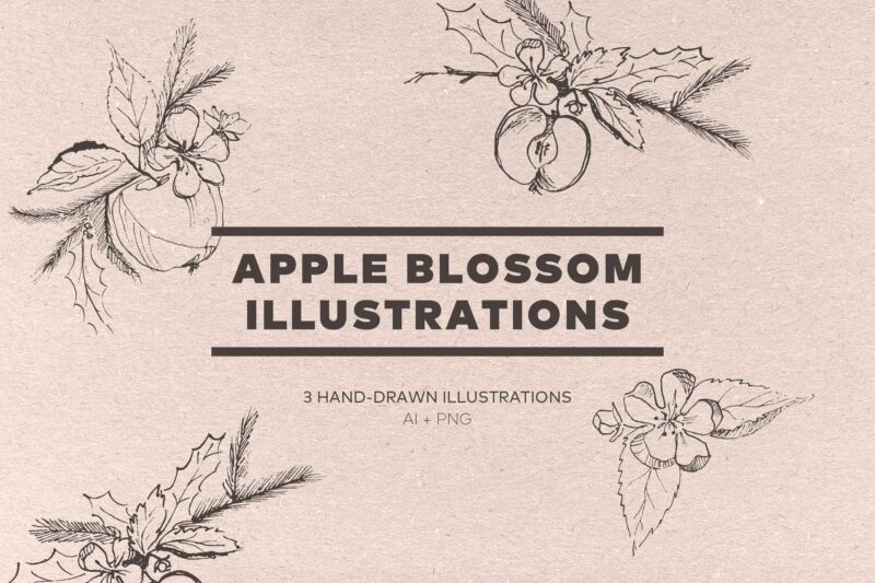 Winter Apple Blossom Illustrations