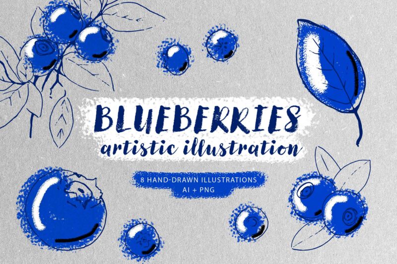 Blueberries artistic illustrations