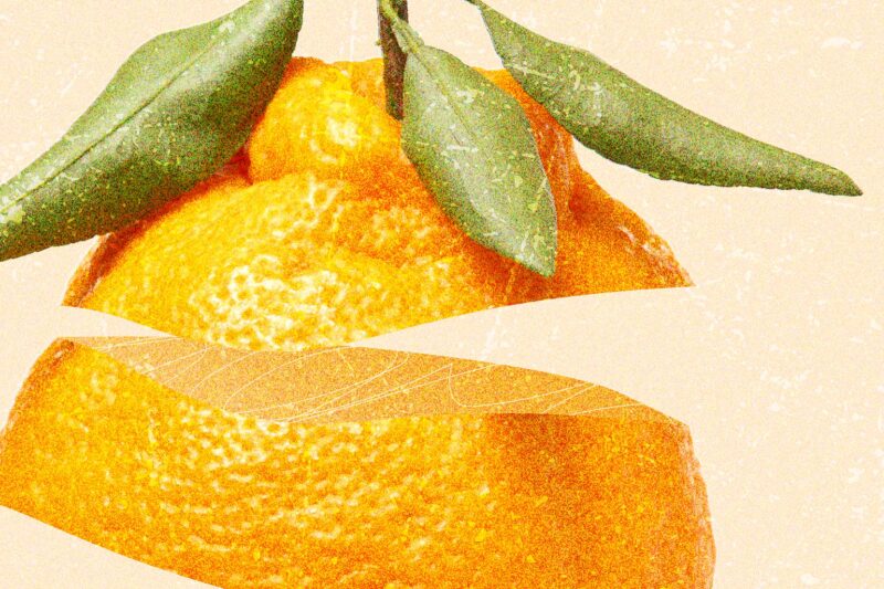 orange citrus fruit mood poster details